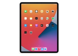 iPad Pro (12.9-inch, Cellular) (5th generation)