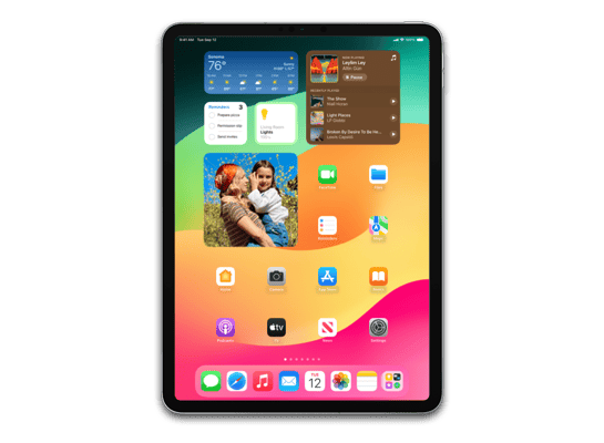 iPad Pro (11-inch, WiFi) (4th generation)