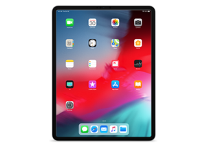 iPad Pro 3 (12.9-inch, Cellular, 1TB Model)